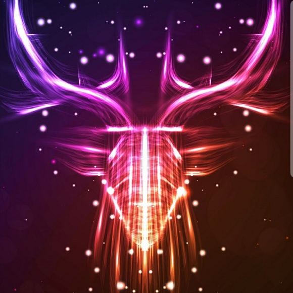 Meet your Posher, Nancy - Picture 1 of 1